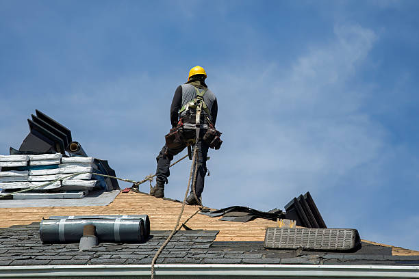 Professional Roof Replacement technician working in Nada, TX